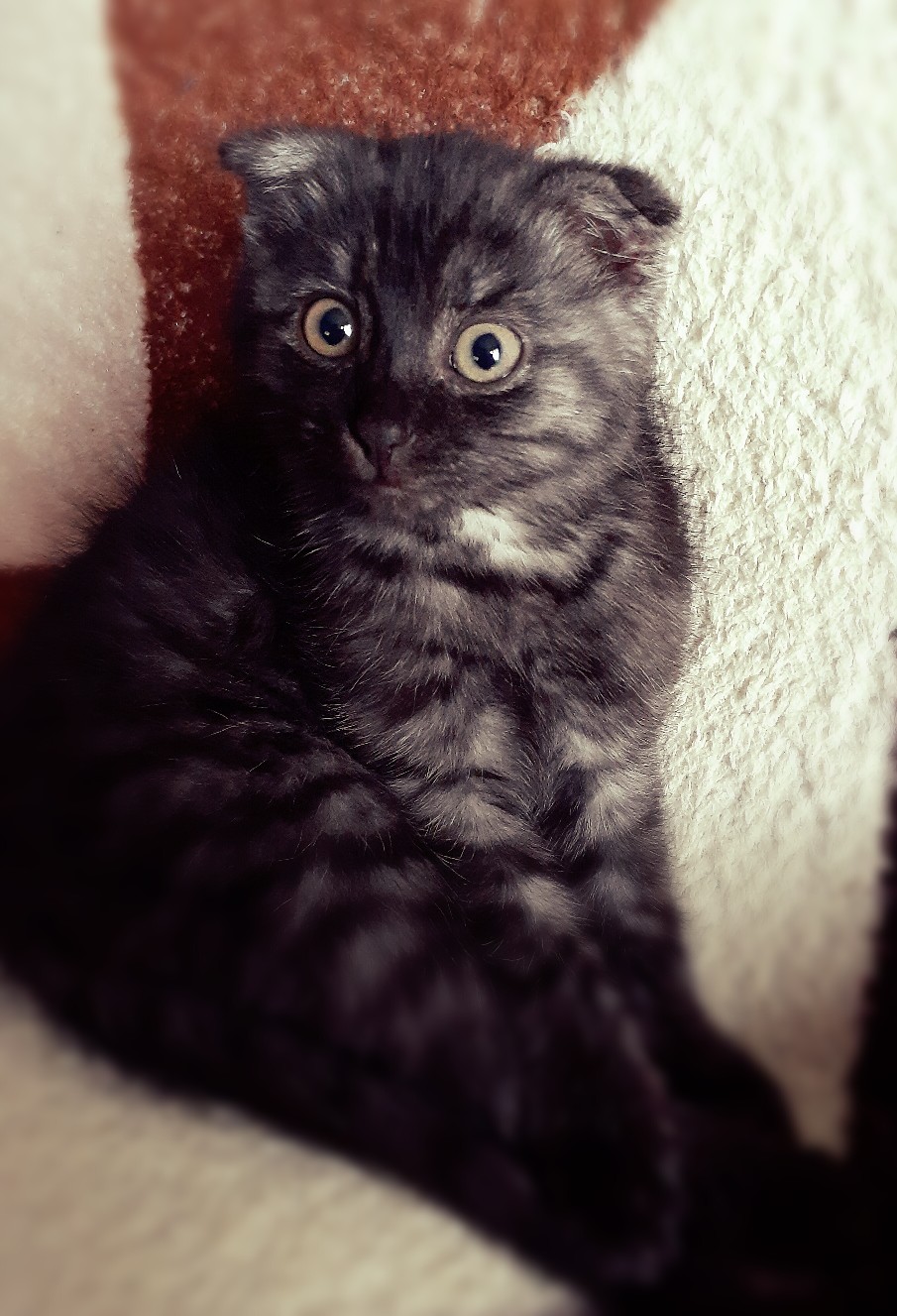 А почему вы не на работе, кто денежки будет зарабатывать