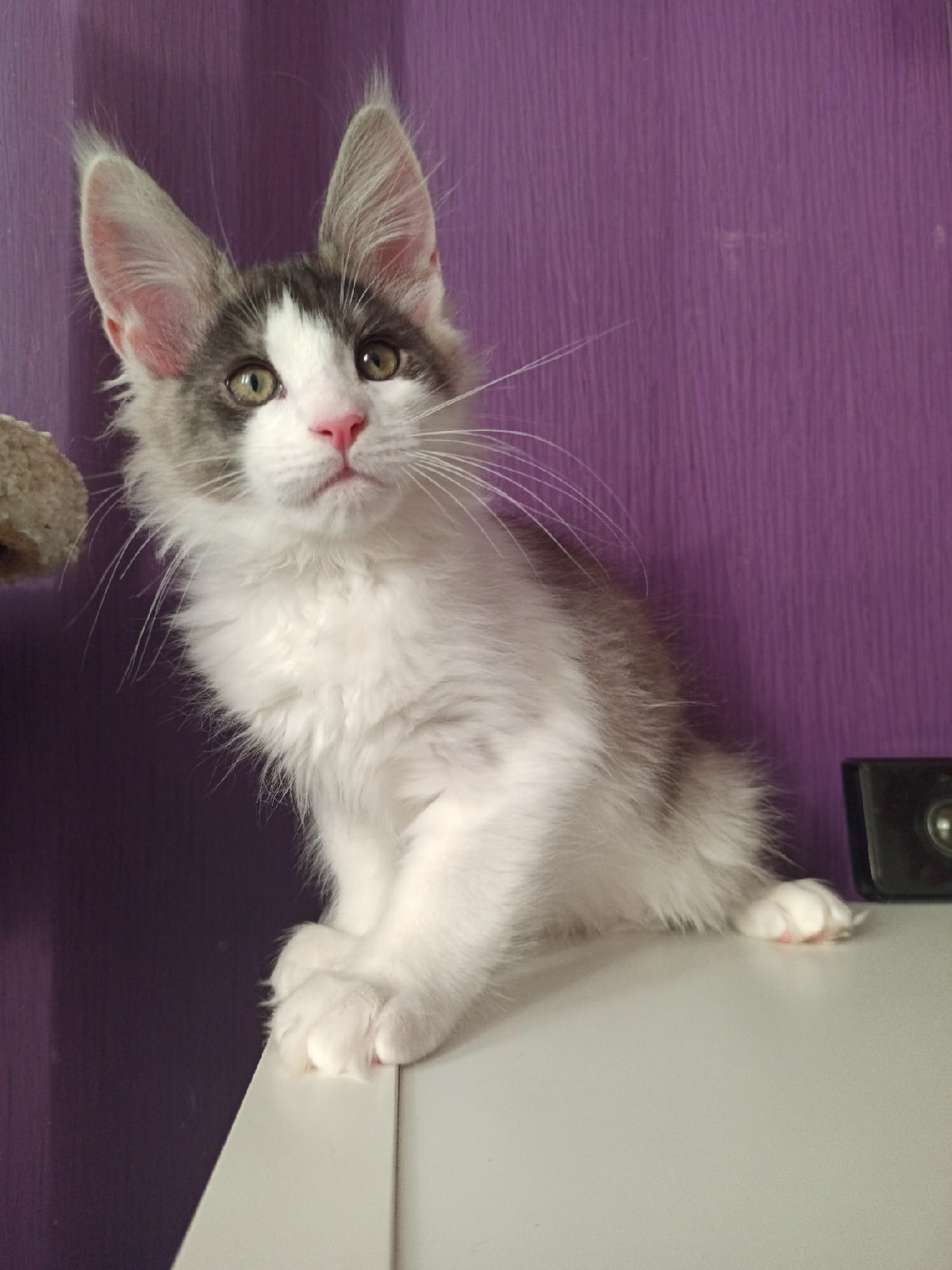 Пошли скорей, я дорогу до кухни покажу