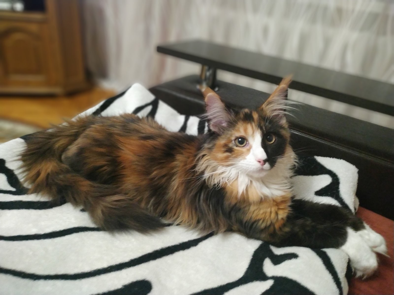 Берите с меня пример, отдыхайте