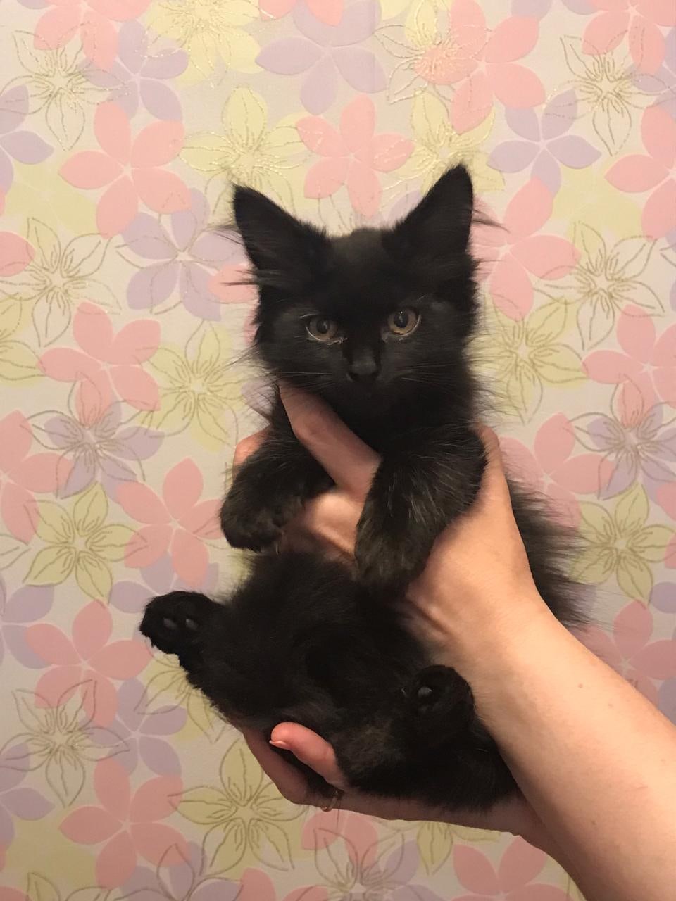 Не понянчив, не покормят