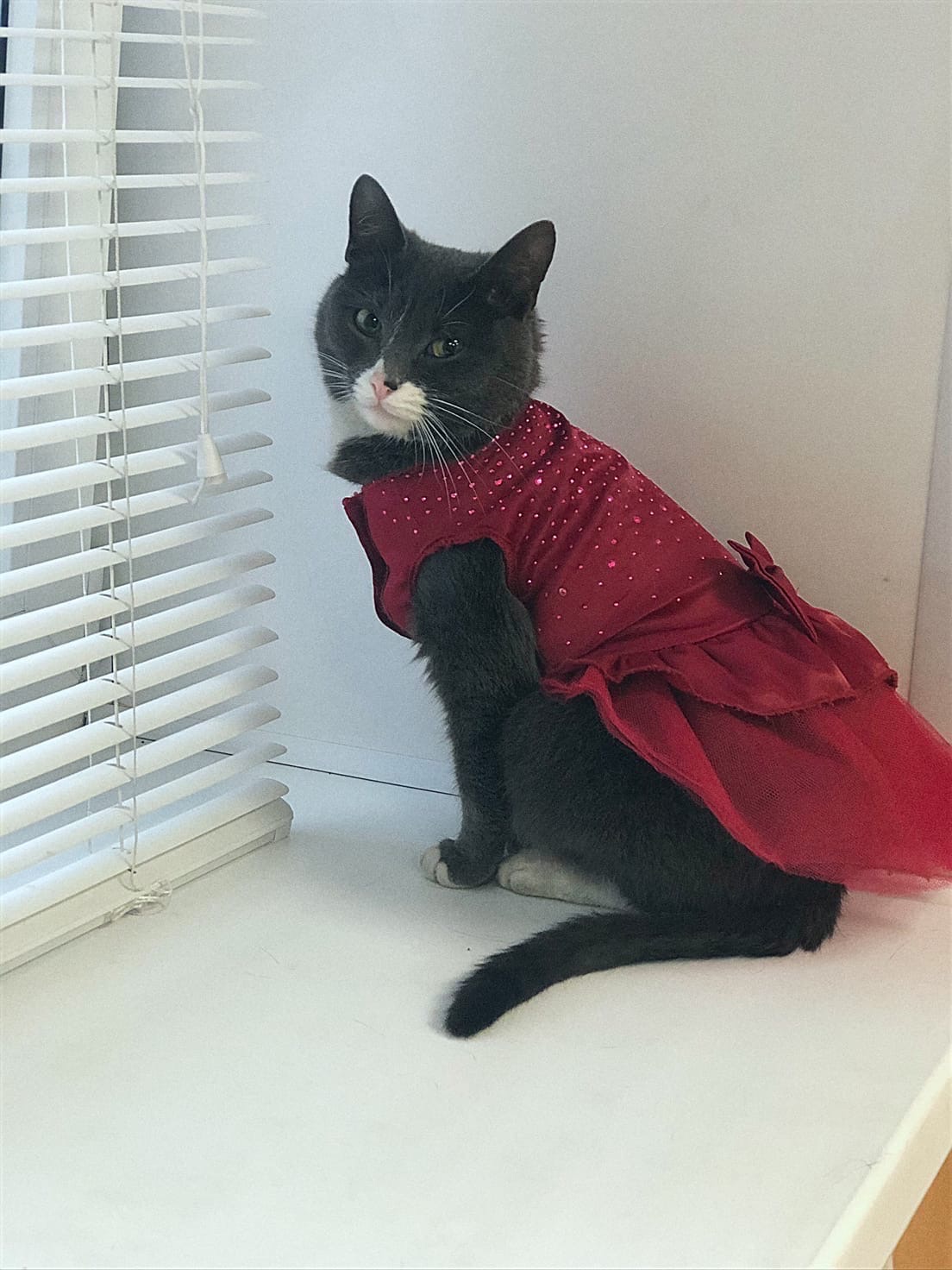 К празднику готова, а гостей всё нет