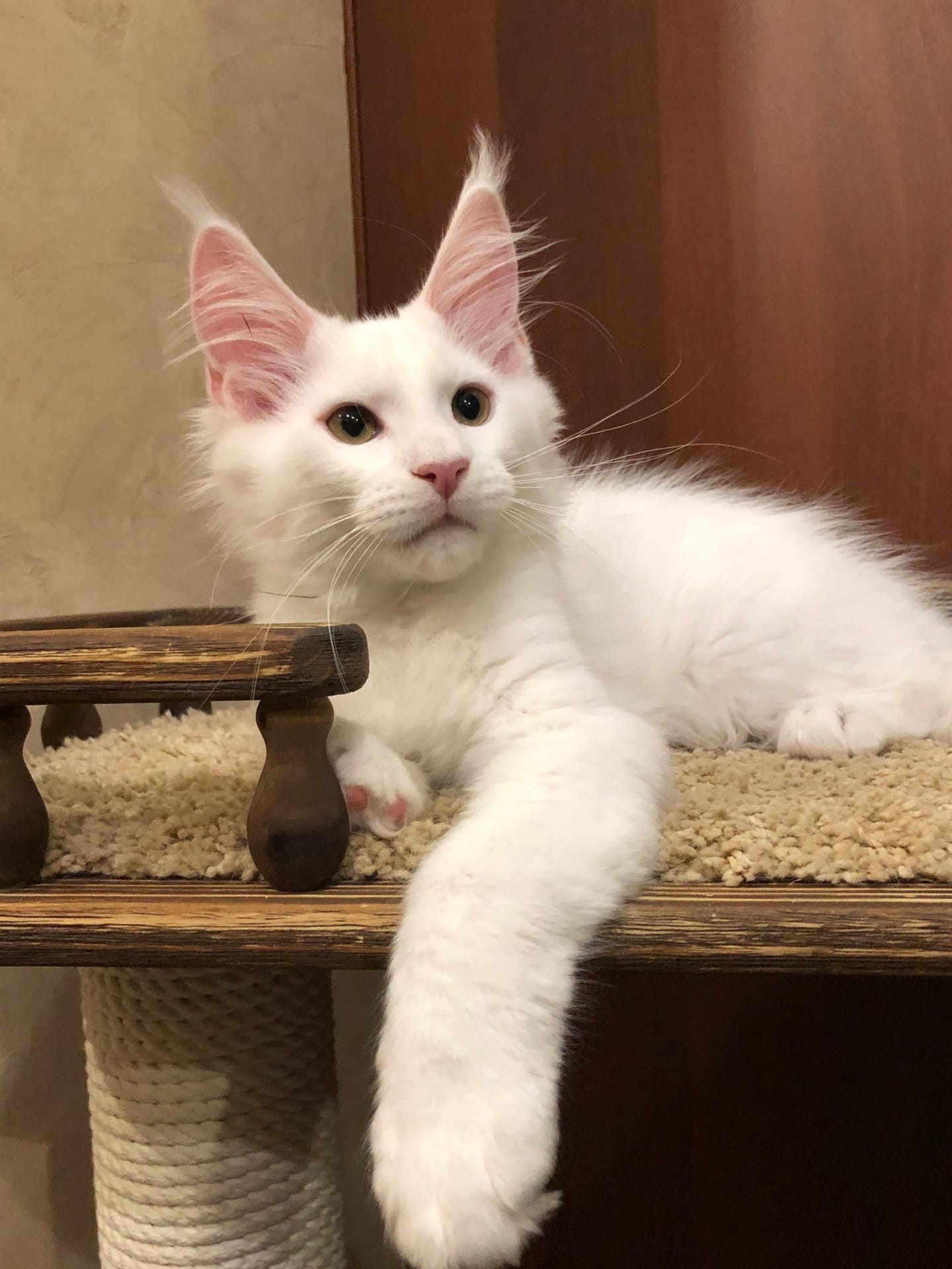 Куда без обнимашек, мимо идёте