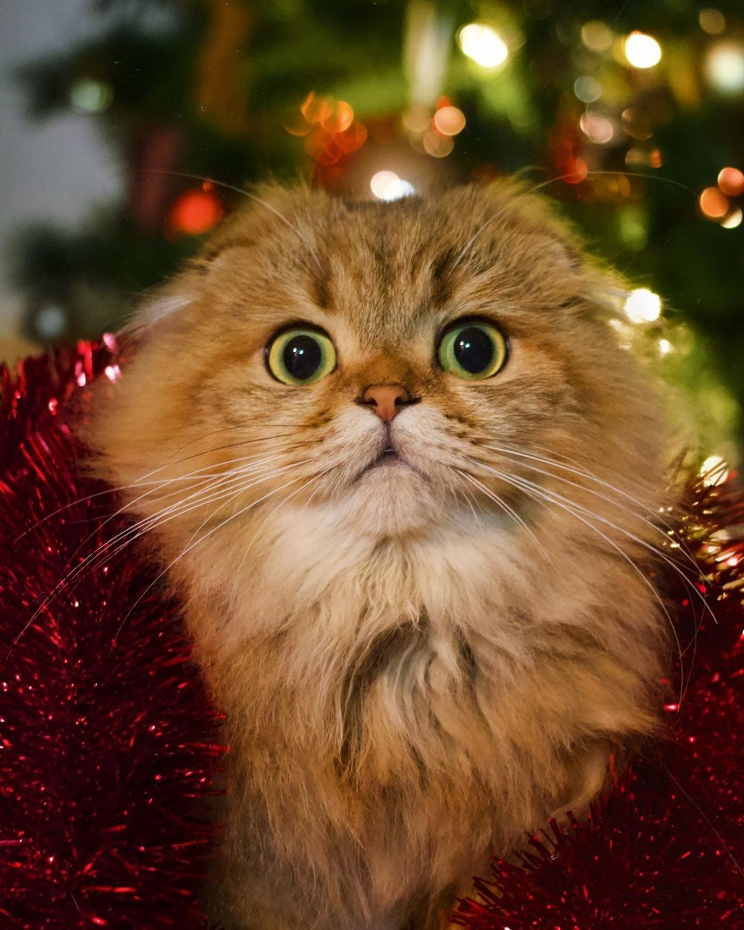 Новый год встретили, теперь ещё один провожать, сколько их вообще