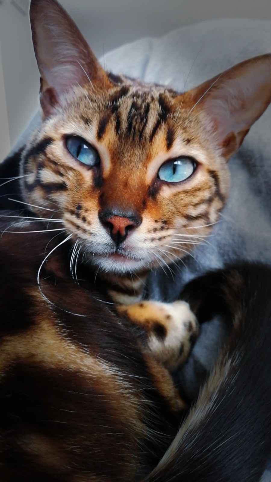 Чтобы быть красивым, мне надо высыпаться