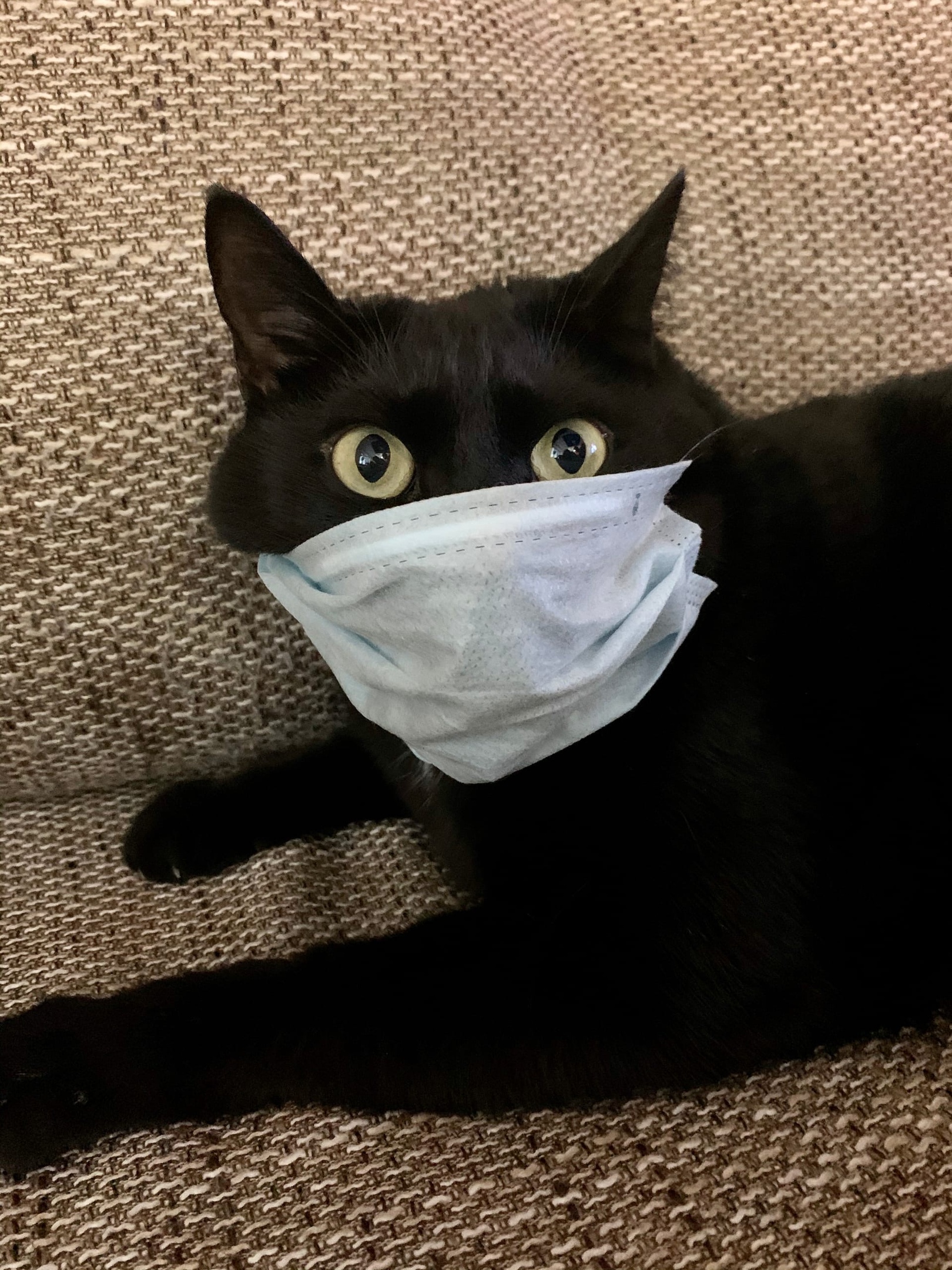 Все здоровы, маску можно снимать