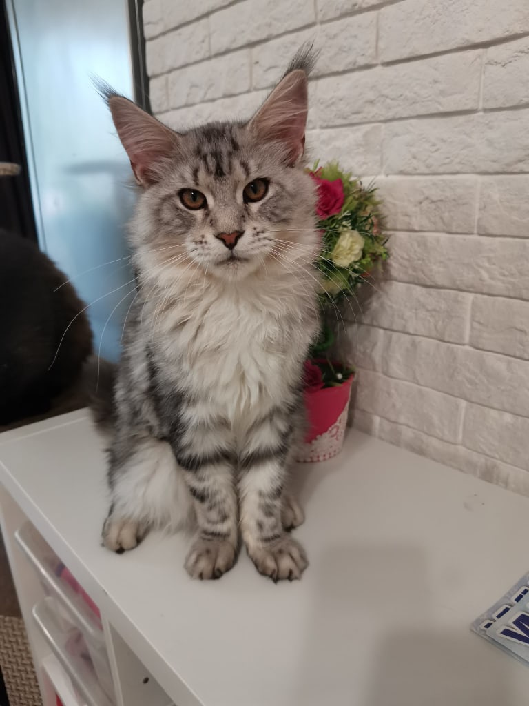 Ты куда, я с тобой