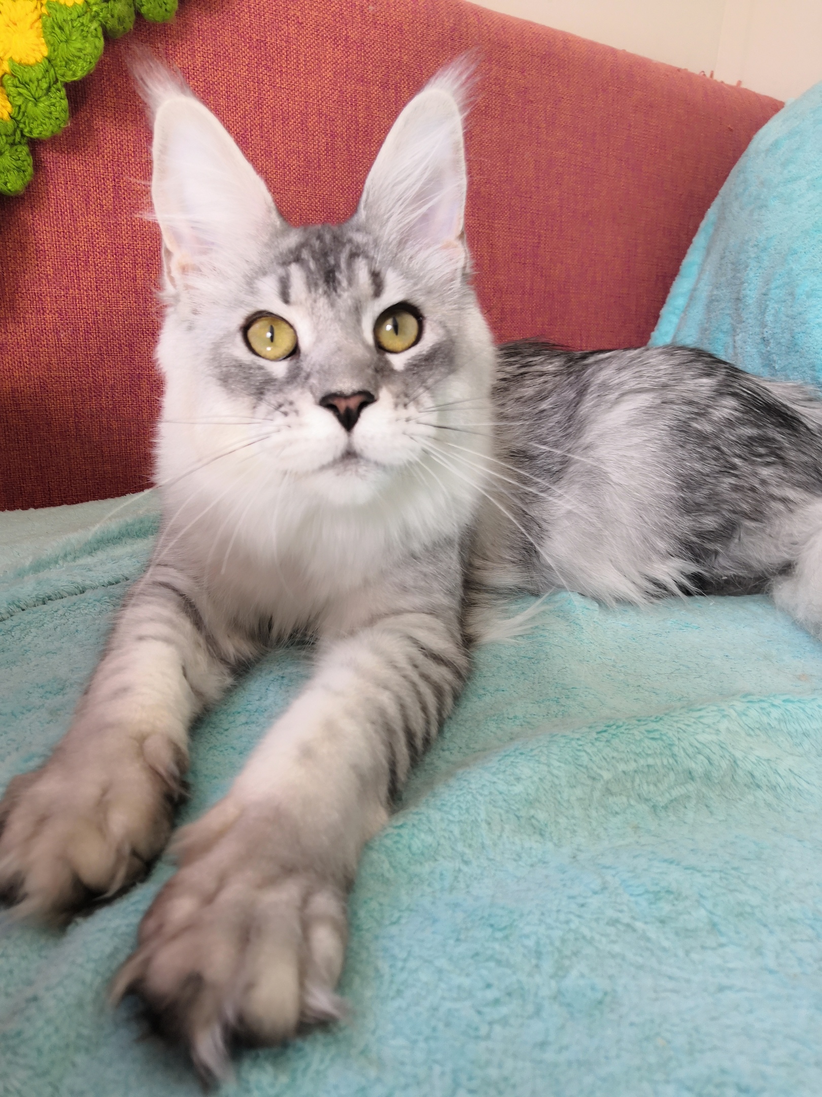 Этот диван, в полном моём распоряжении до вечера