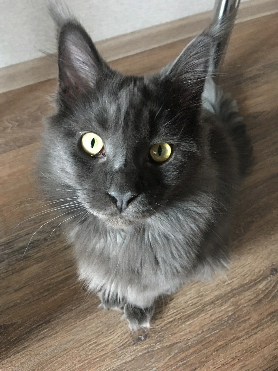 Стесняюсь спросить, вы до кухни не хотите прогуляться