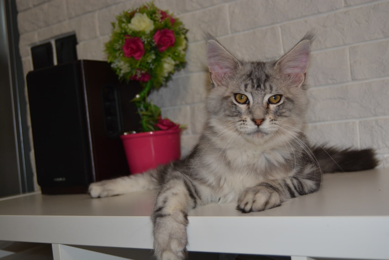 Жду, когда все проснутся