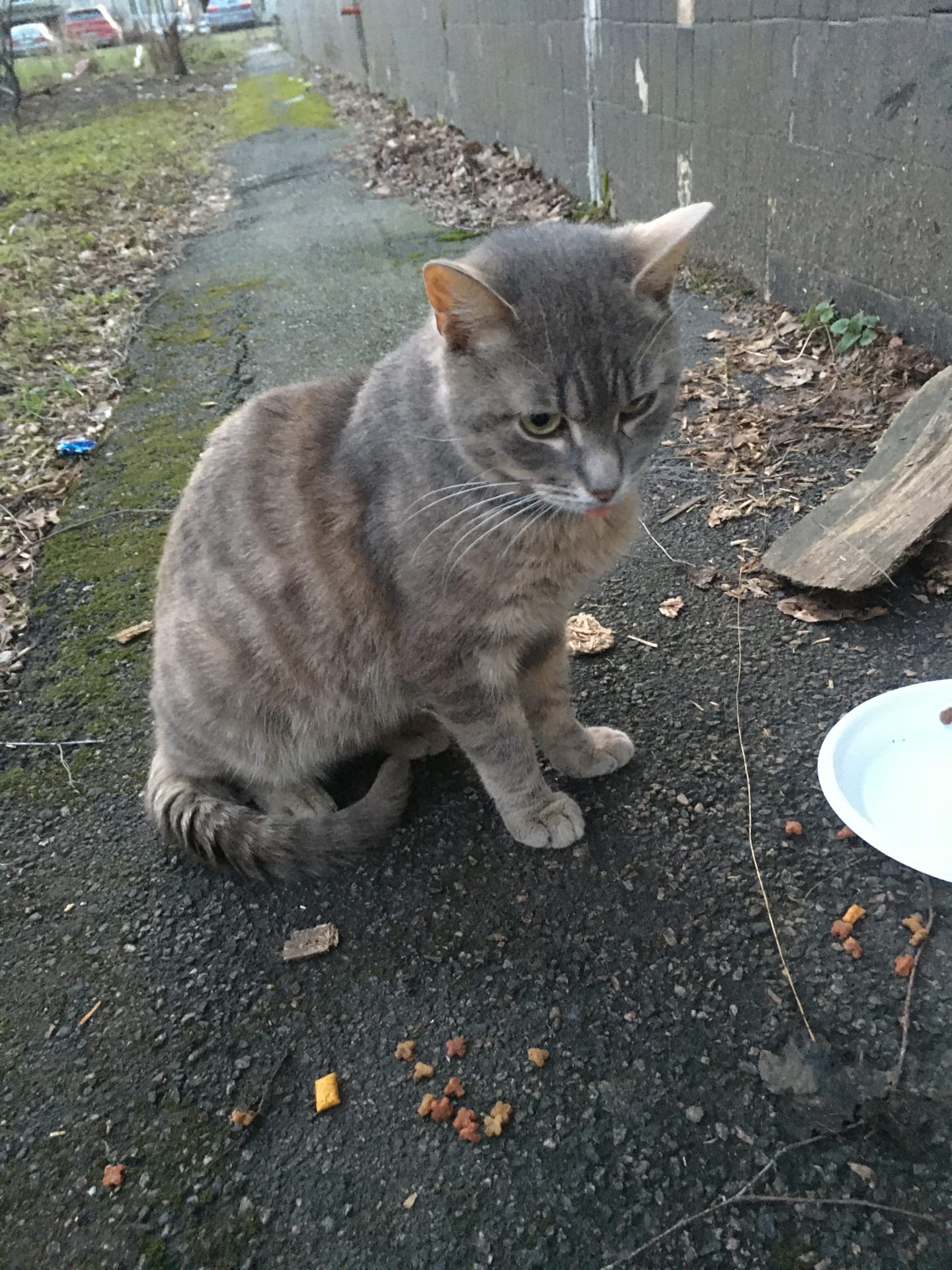 Спасибо, добрым людям