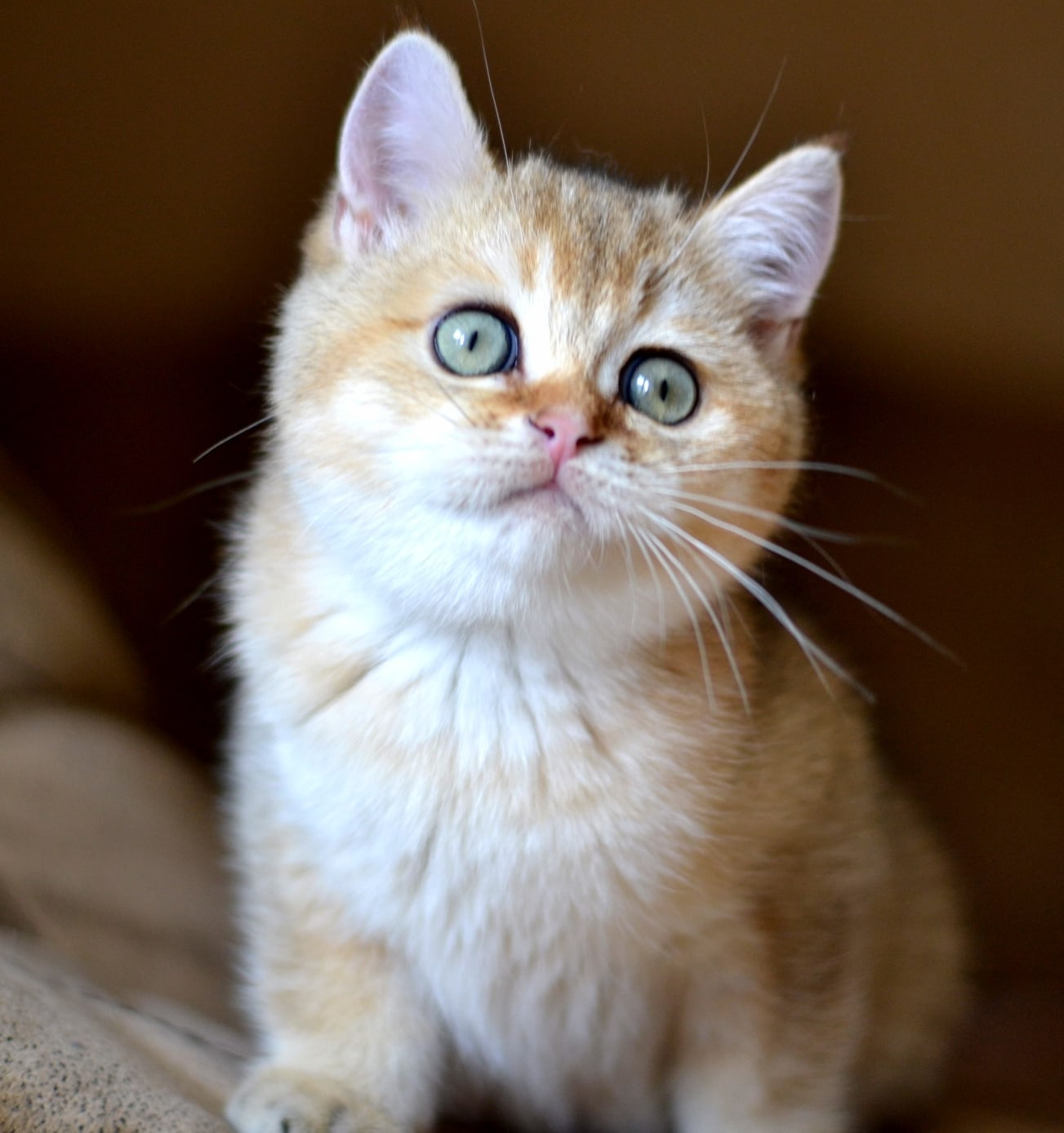 Хозяева дорогие, может отдохнём