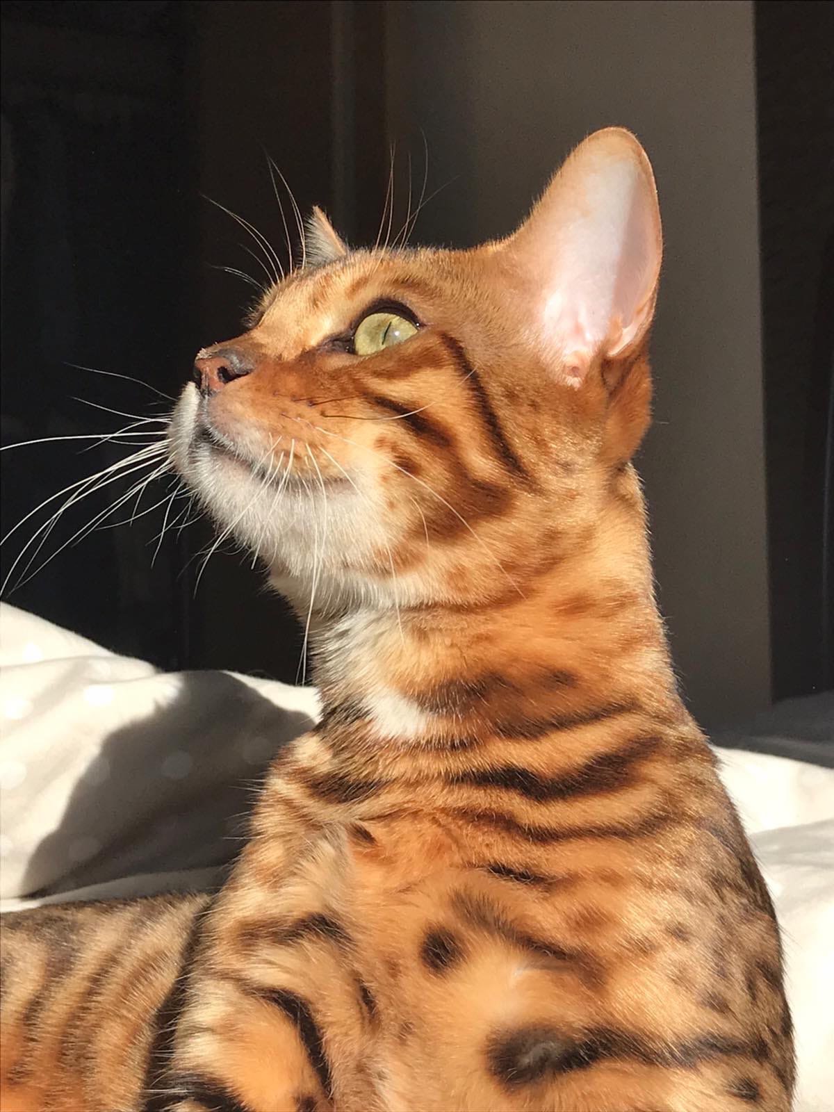 Выключайте свет, спать пора