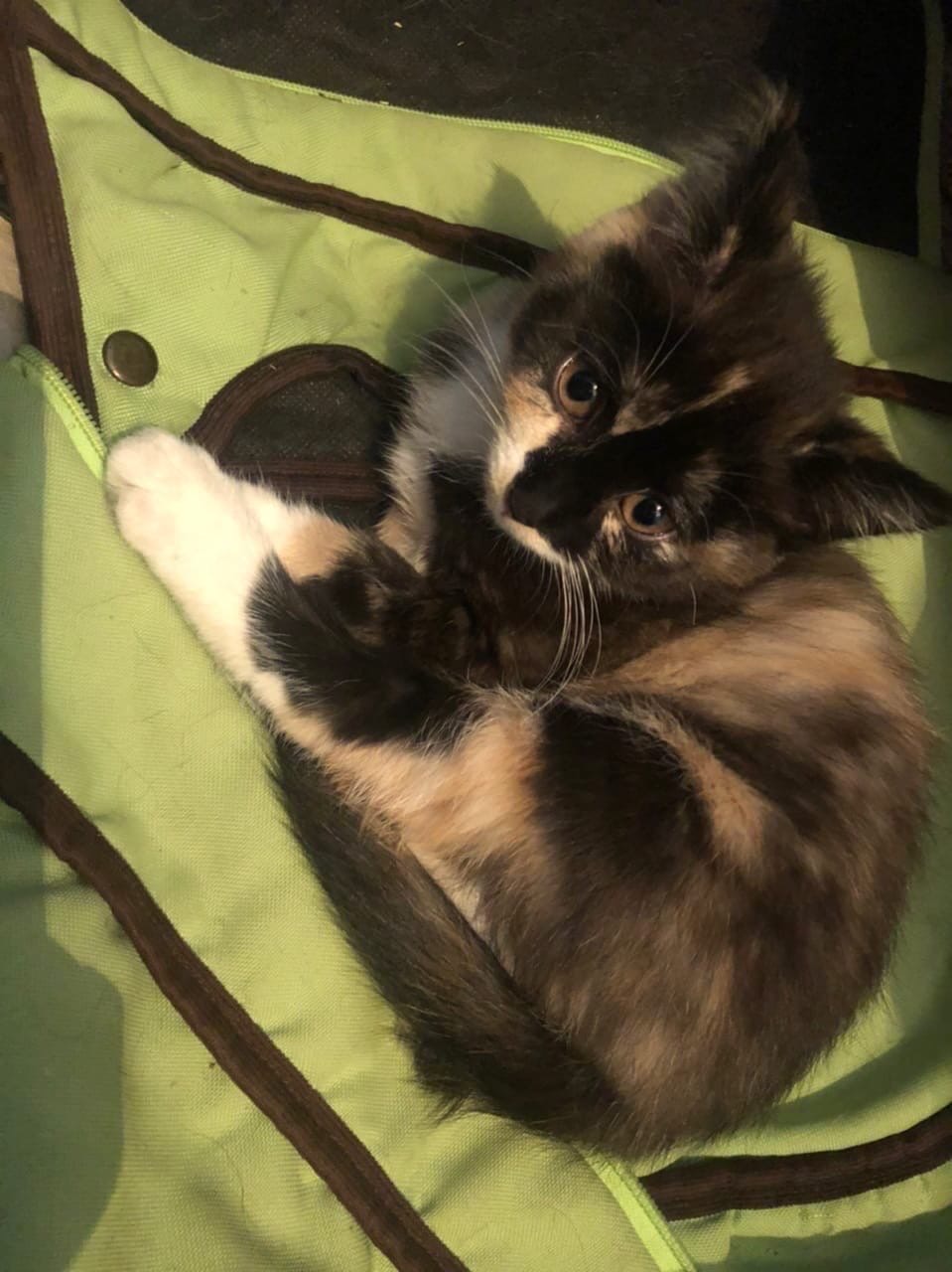 Я тут полежу