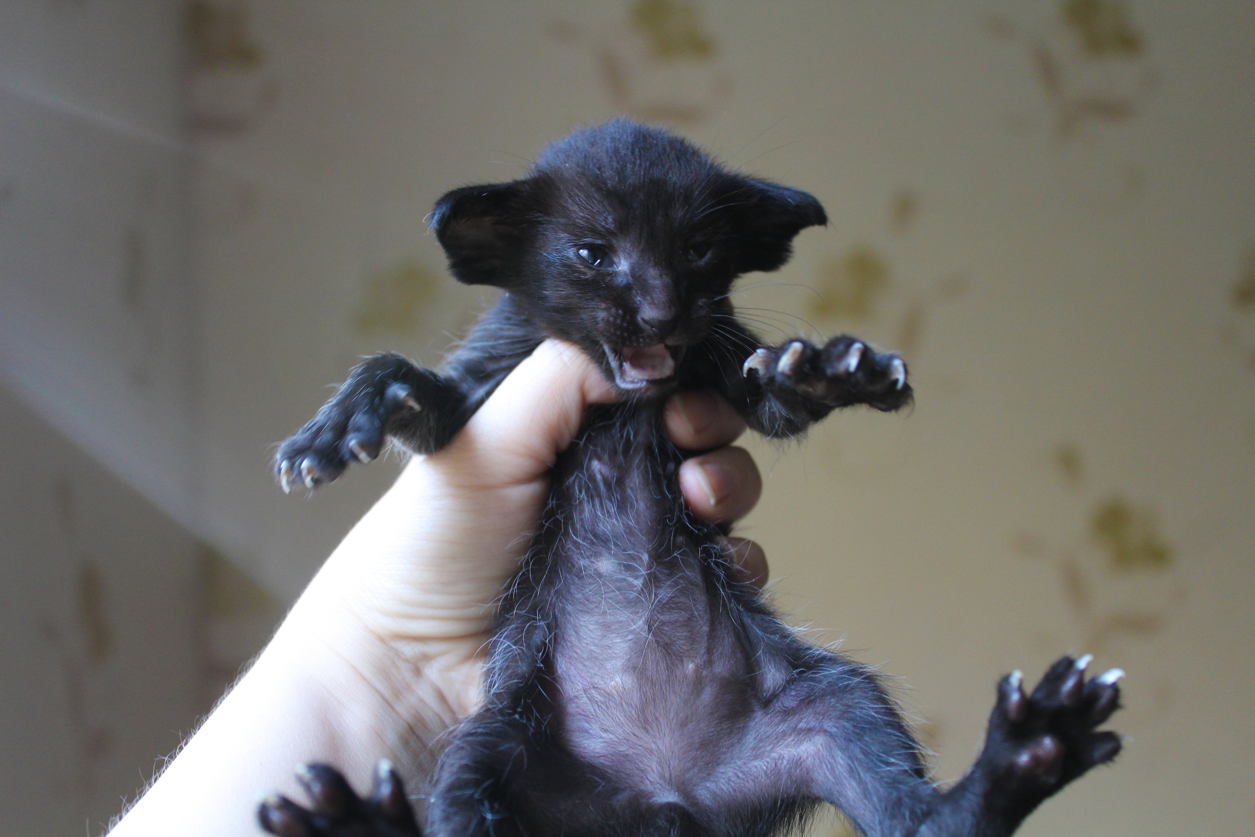 Поставьте меня на пол, голова кружится