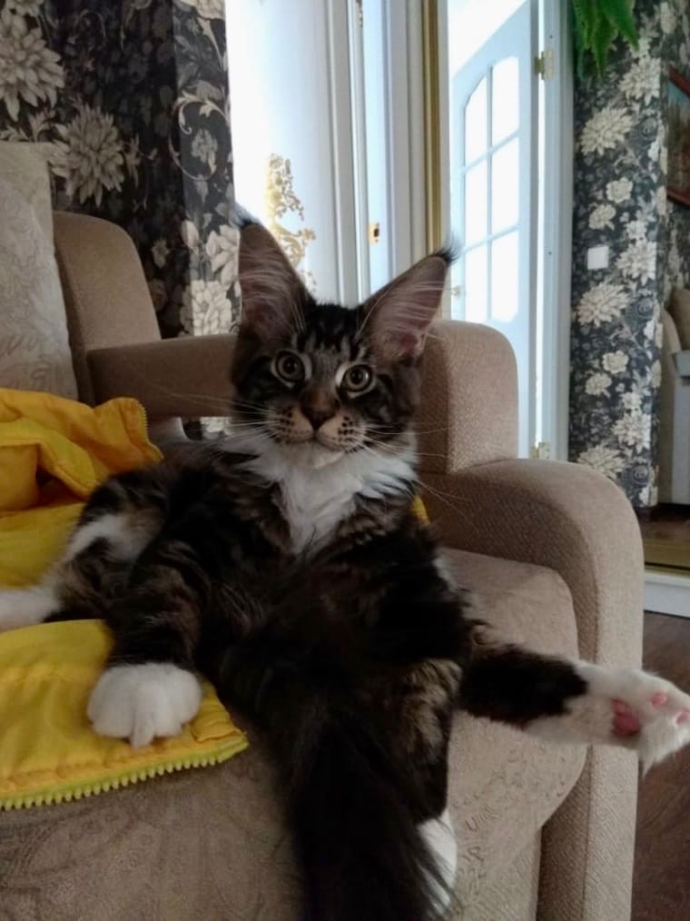 Все на работе, а у меня праздники круглый год