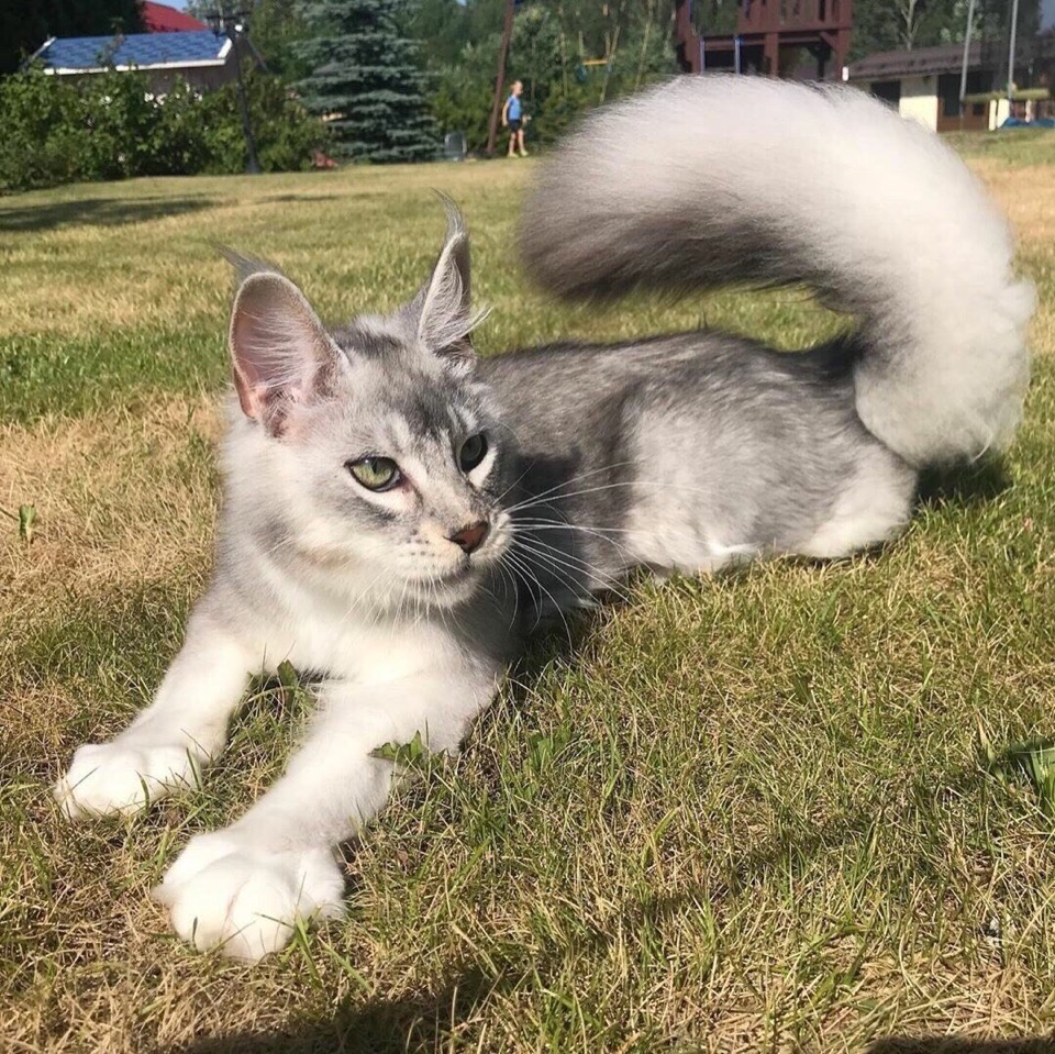 Ещё десять кругов пробегу и завтракать