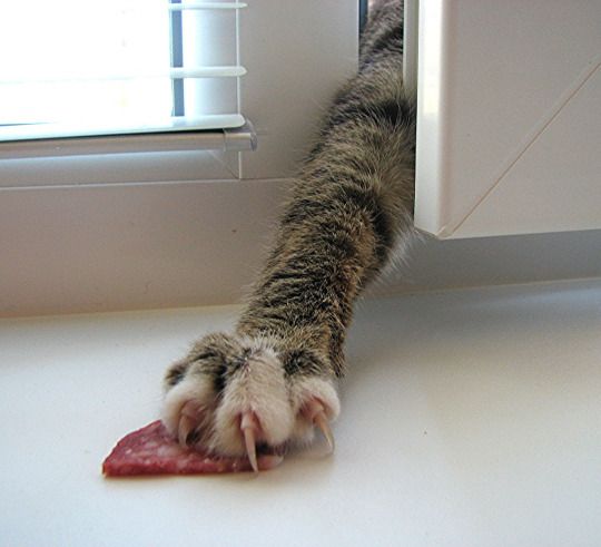 Я ухожу, но всё своё с собой заберу