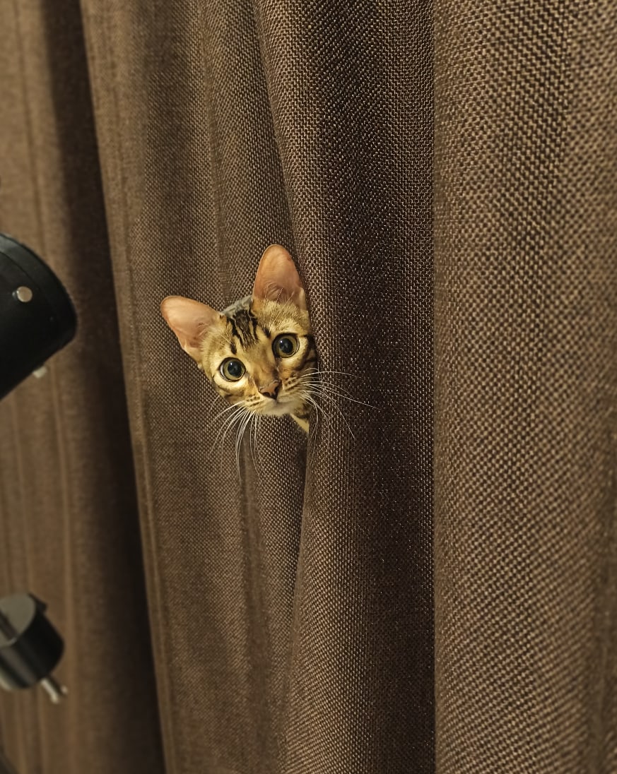 Вы меня, не потеряли