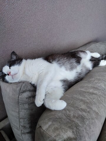 А мы, ещё не проснулись