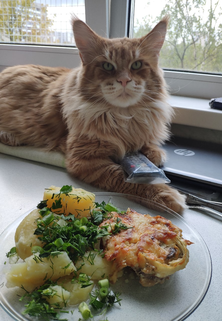 Приступаю к обеду