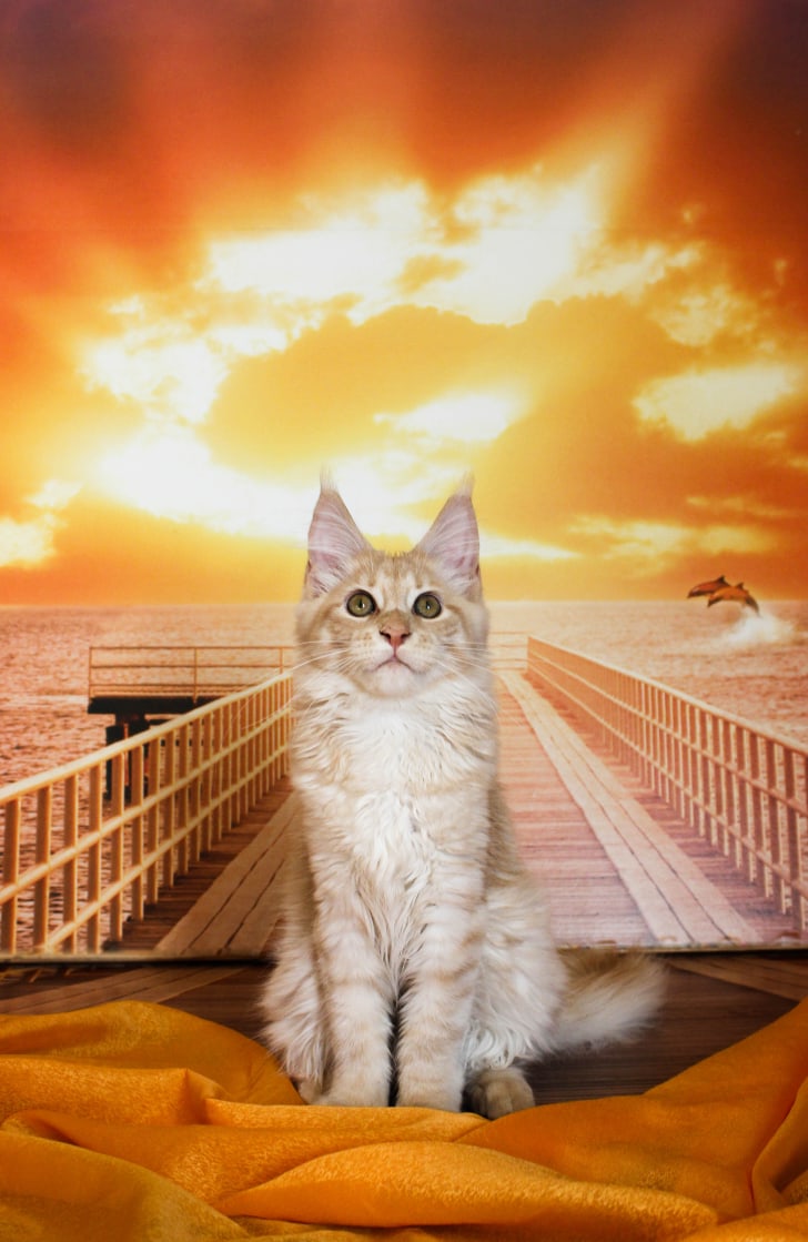 Скорей бы лето, на море хочется