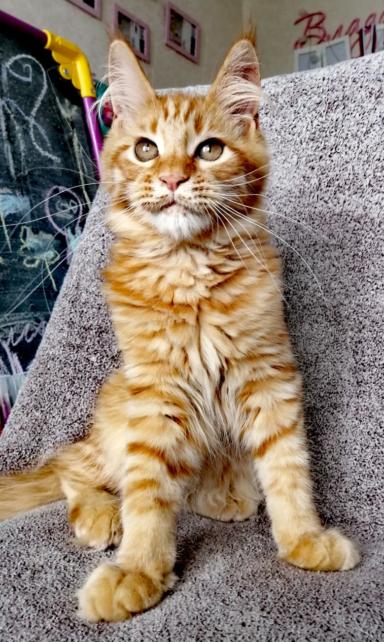 Хватит рисовать, лучше займитесь мной