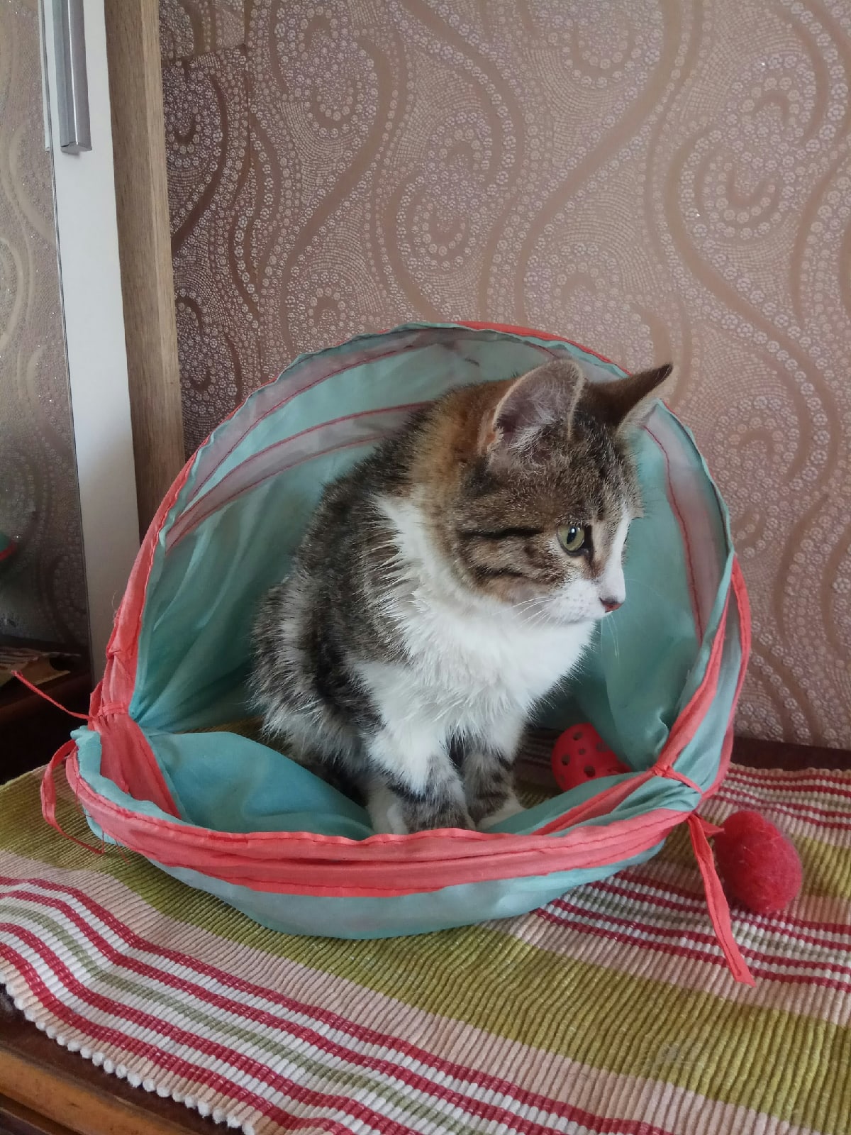 Сходить покушать или поиграть