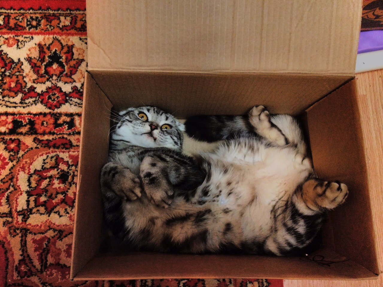 А что, коробочки побольше не было