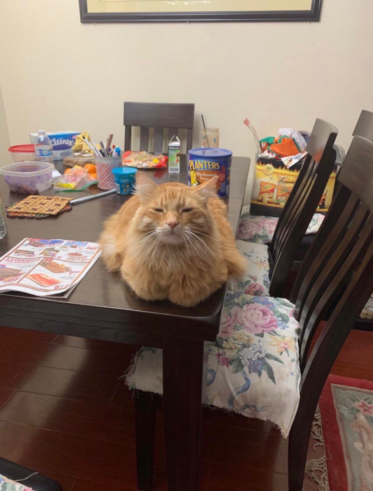 Пока рыбу не дадите, со стола не слезу