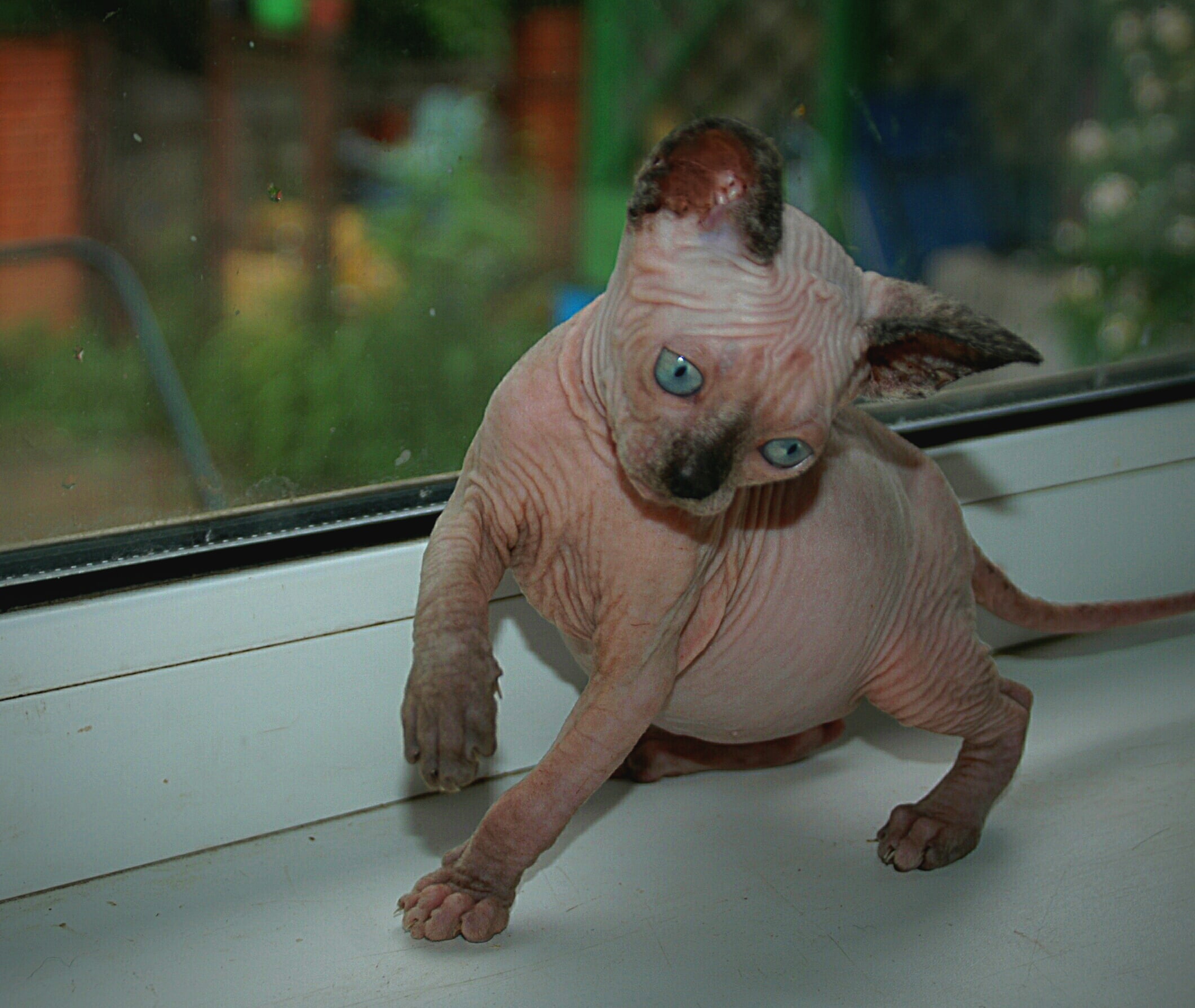 Да, там мелкий дождь, можно гулять