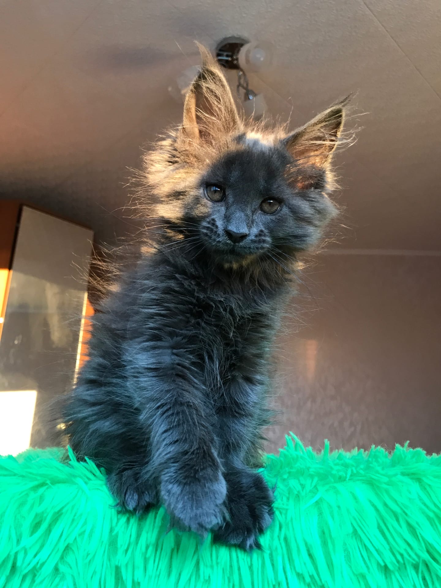 Просыпайтесь, с добрым утром