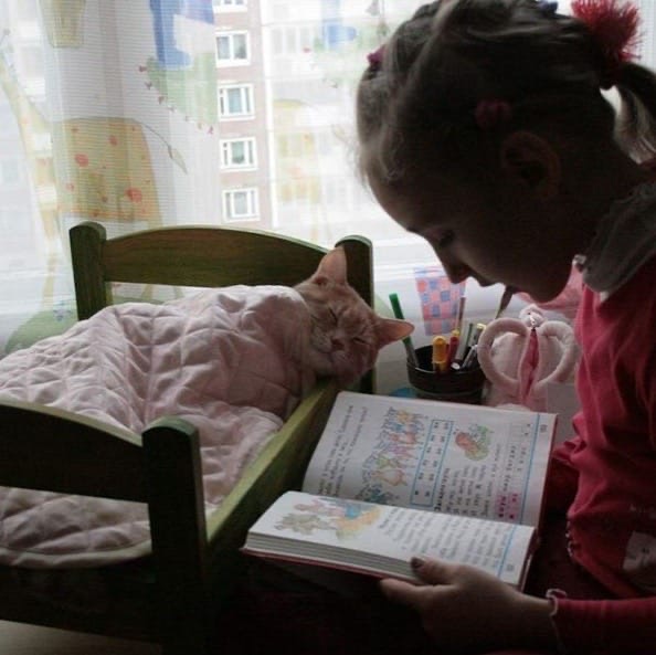 Всем бы, таких нянек