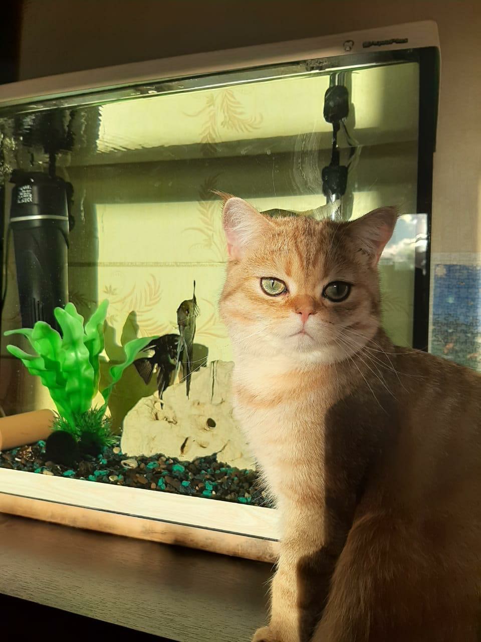 Рыбки, со мной дружить не хотят