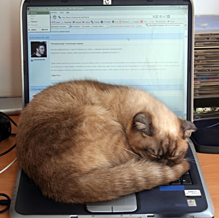 Надо делать перерыв, а работа никуда не денется