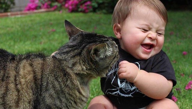 Ой, защекотал усатый