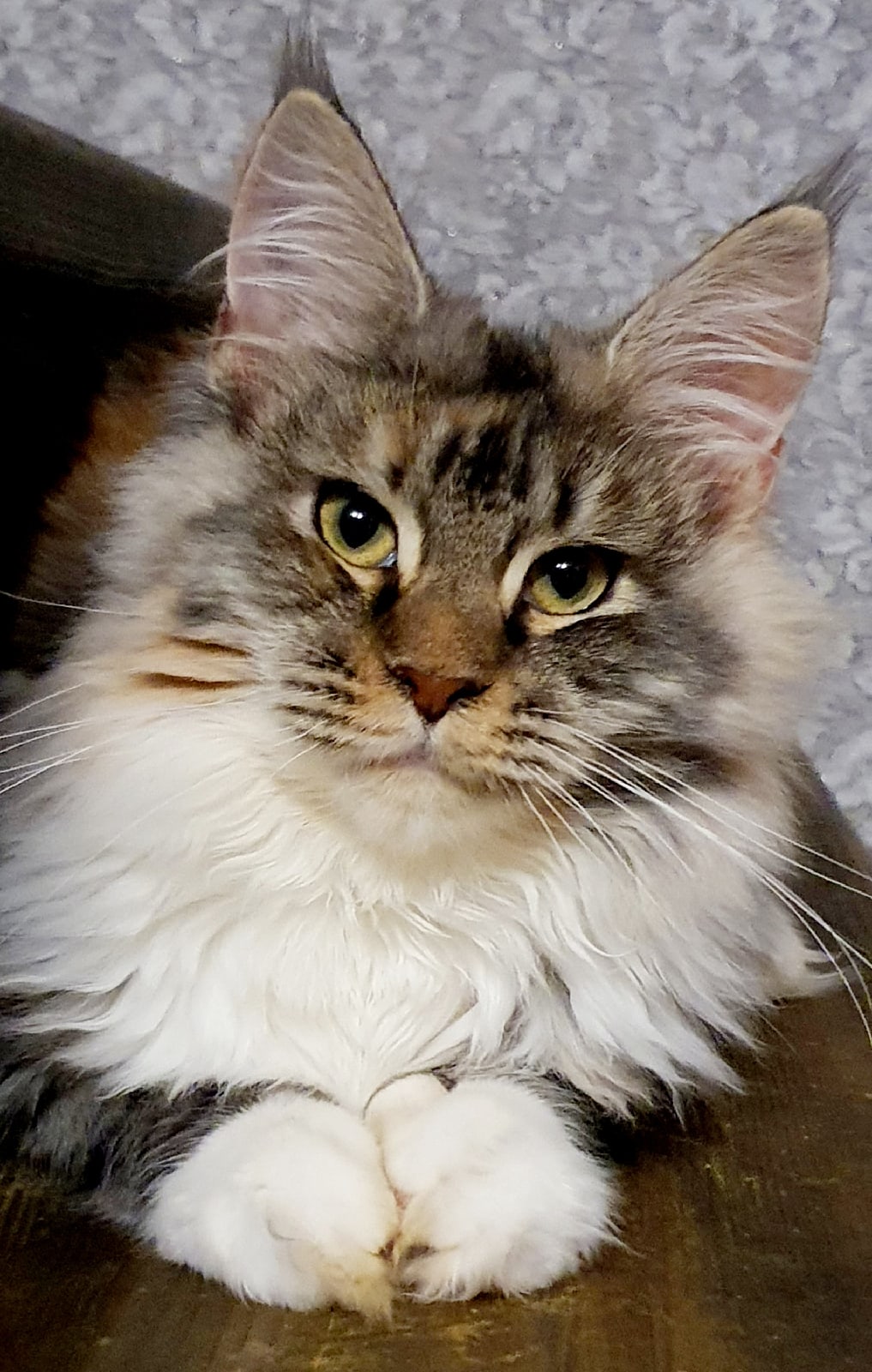 Ну, рассказывайте, какие у вас новости