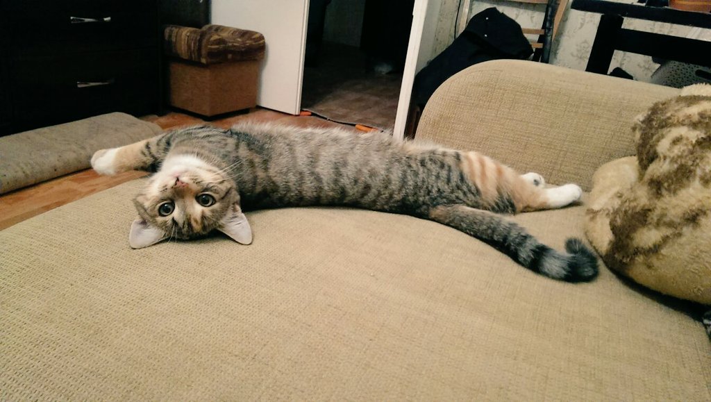 Просто, хорошо