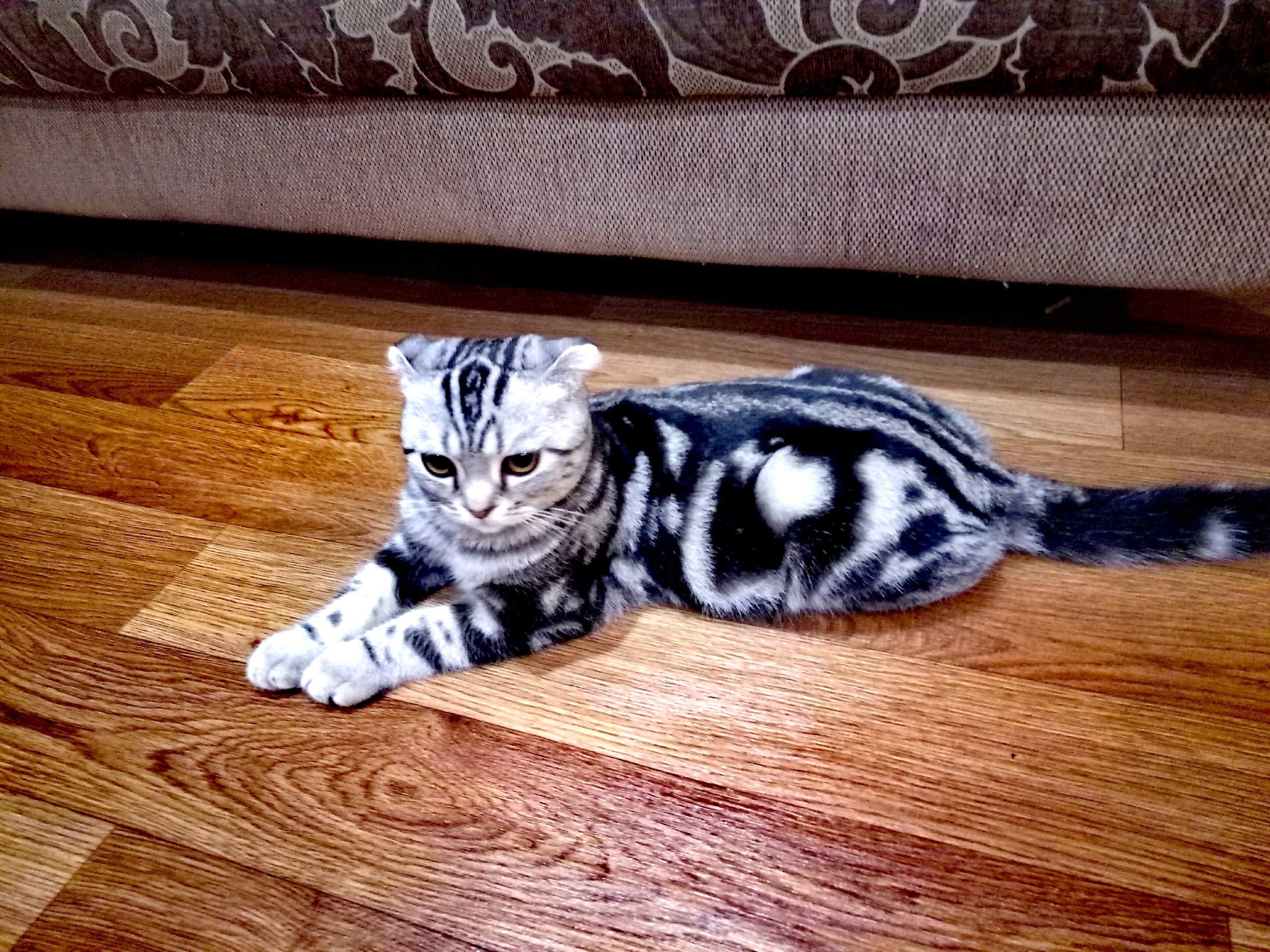 Что бы сделать такого, чтобы хозяевам понравилось