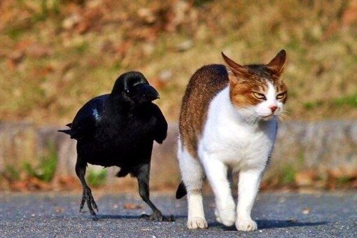 Сегодня намечается серьёзная туса, как бы не опоздать