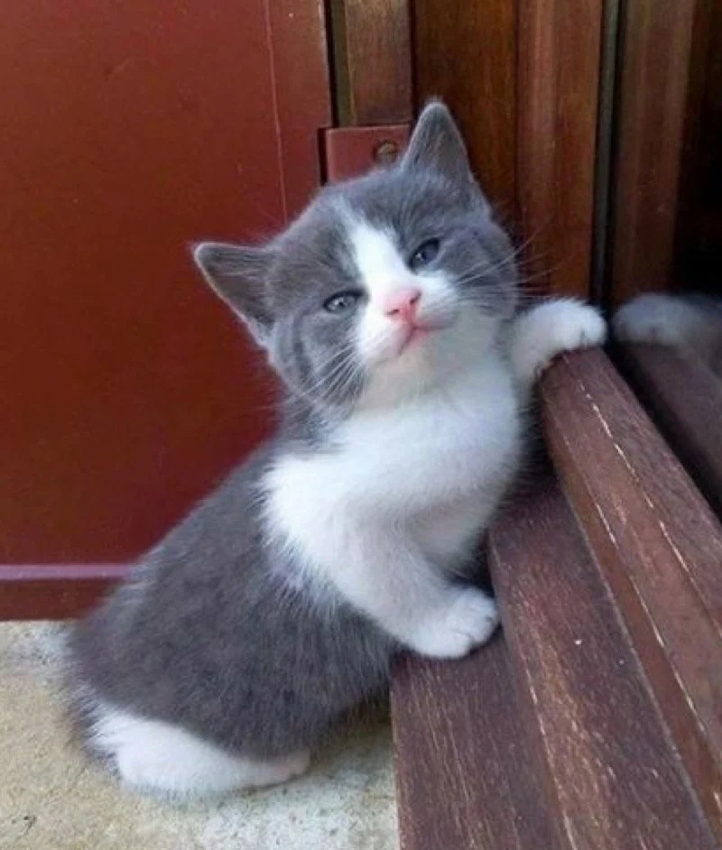 Никуда не ходите, на улице ещё темно