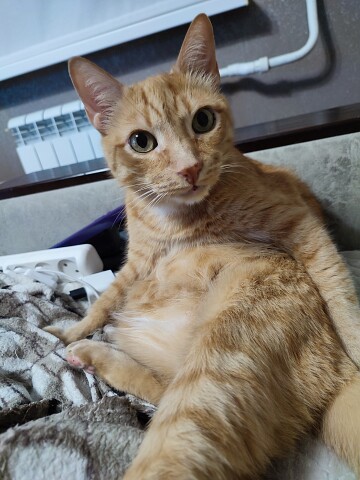 А я, умываться собрался