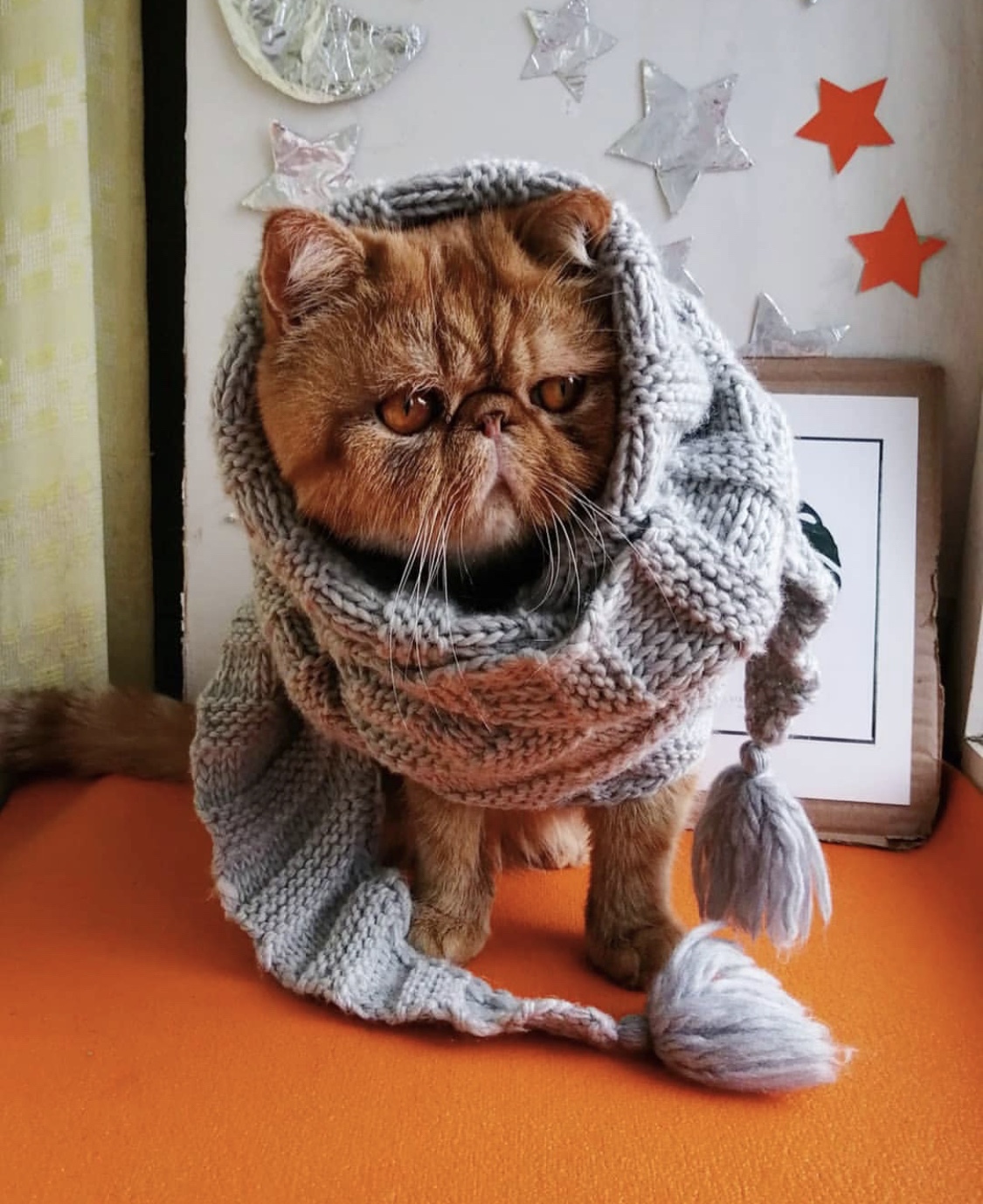 Я в этом, не спарюсь на улице