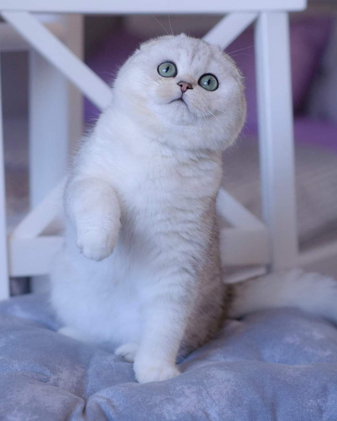 Мне, ещё одну подушечку положите сюда