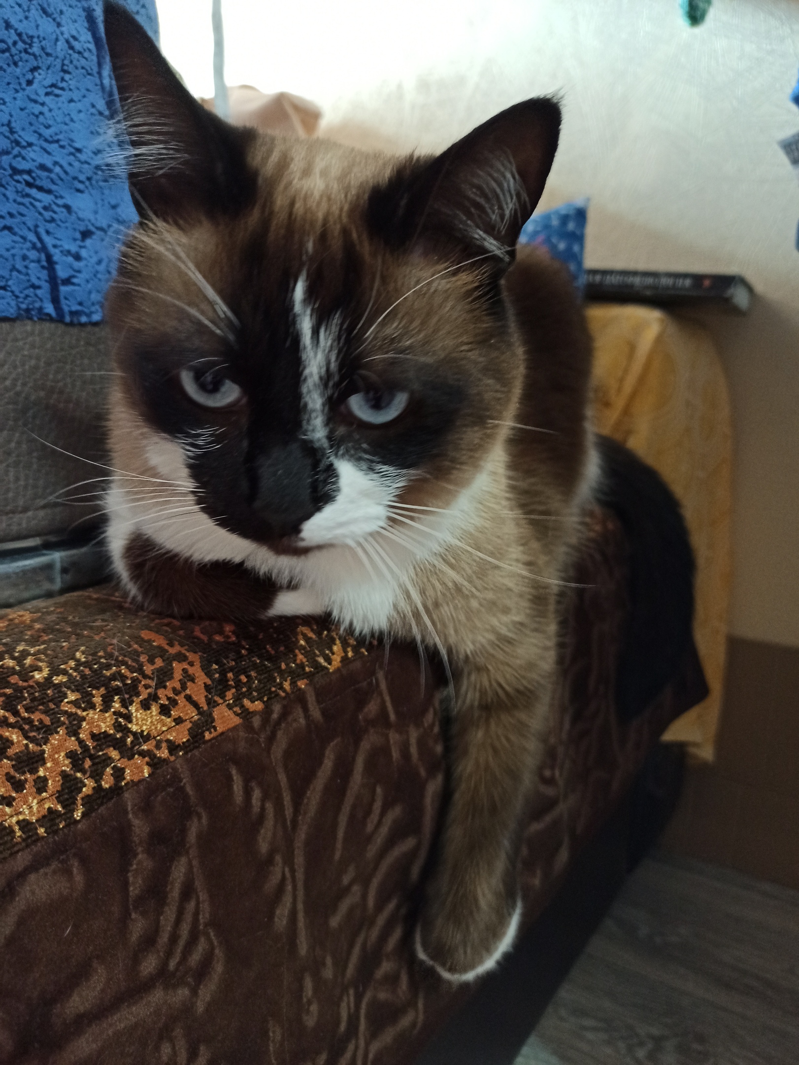 Сегодня, буду грустить