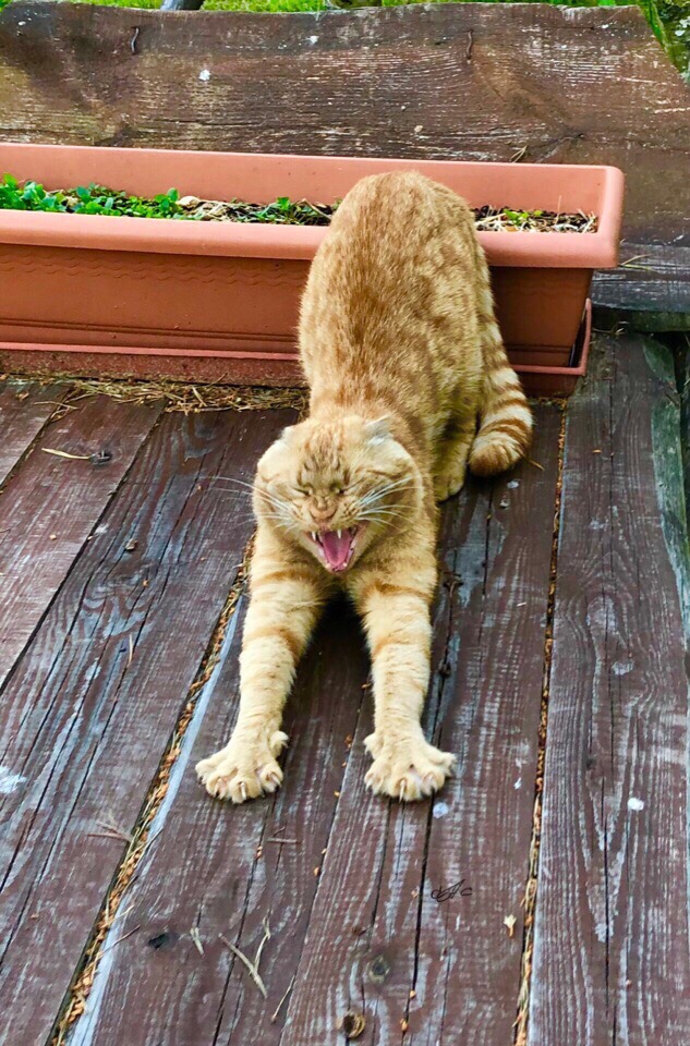 Хорошенько разомнёмся