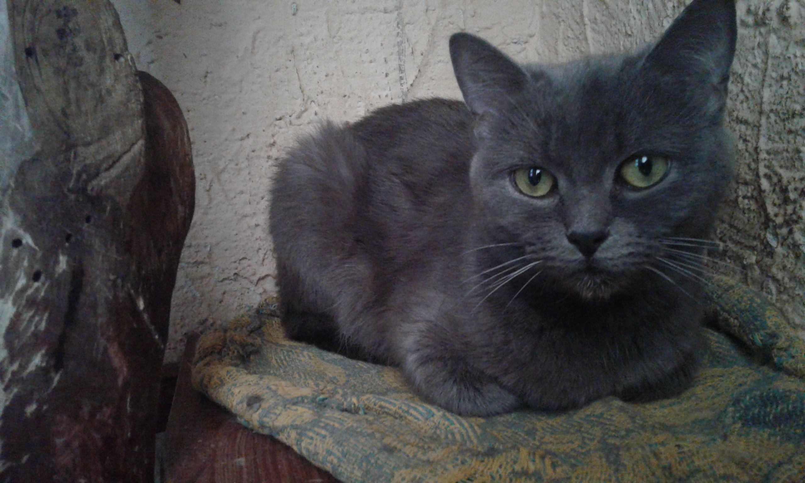 Никак не могу побыть один, всё время меня находят