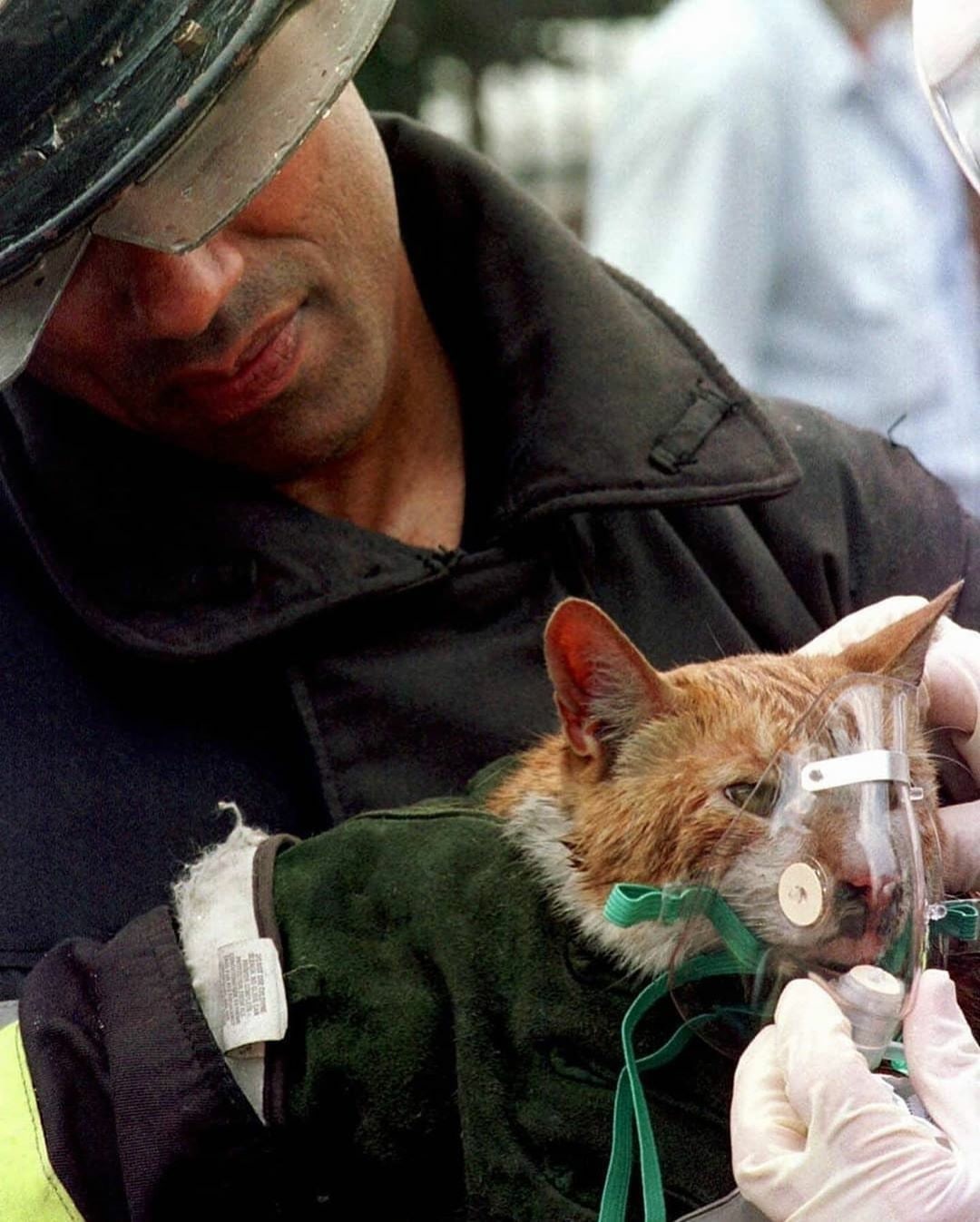 Только живи