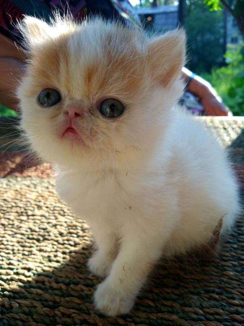 Двор исследовал, пошли купаться