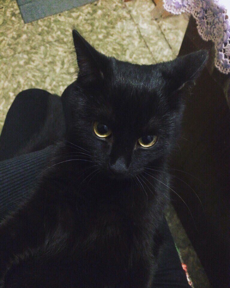 Отпустите меня, по - хорошему