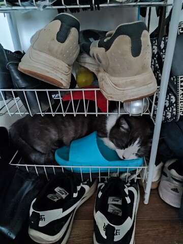 Пока в прятки мы играли, я успел выспаться